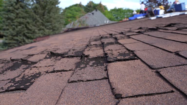 Fast & Reliable Emergency Roof Repairs in Harvard, NE